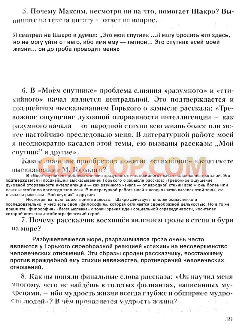 Мой спутник отношение к простому народу. Вопросы по рассказу мой Спутник. Мой Спутник характеристика.